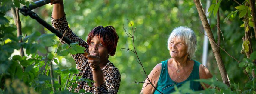 Tastatur med PC og en mann 