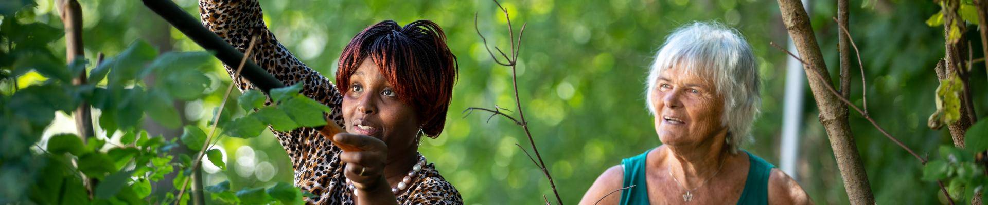 Tastatur med PC og en mann 